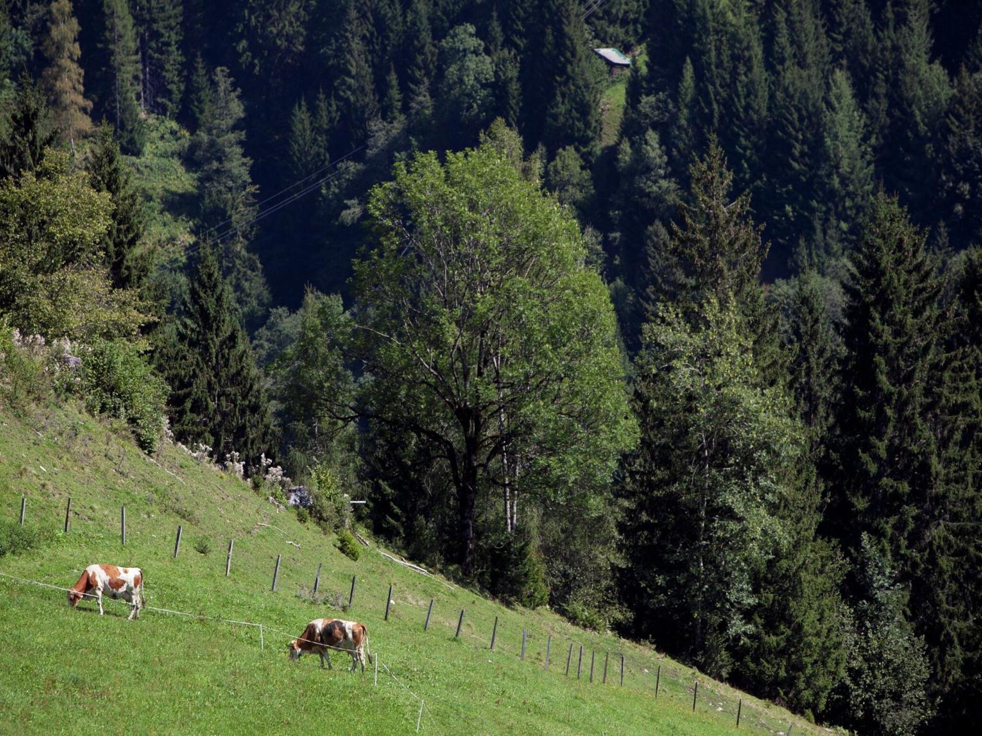 וואגריין Apartment In Sankt Johann Im Pongau Near Ski Area מראה חיצוני תמונה