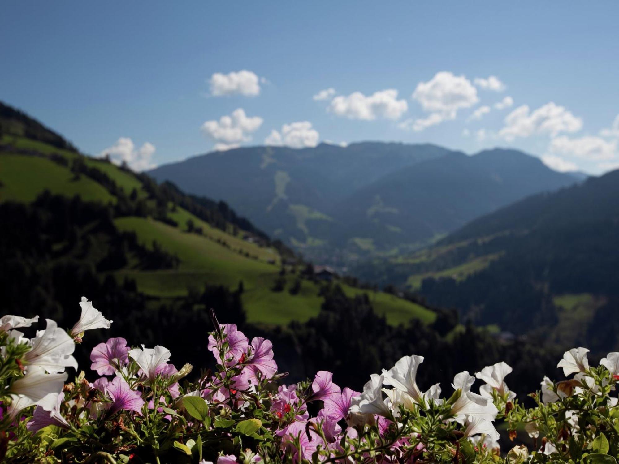 וואגריין Apartment In Sankt Johann Im Pongau Near Ski Area מראה חיצוני תמונה